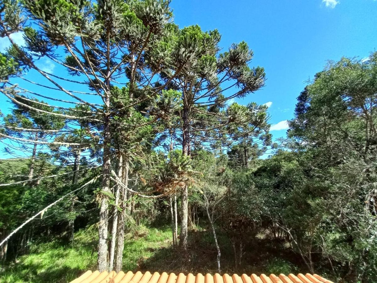Cabana Na Floresta Rincao Do Fortaleza Cambara do Sul Exterior photo