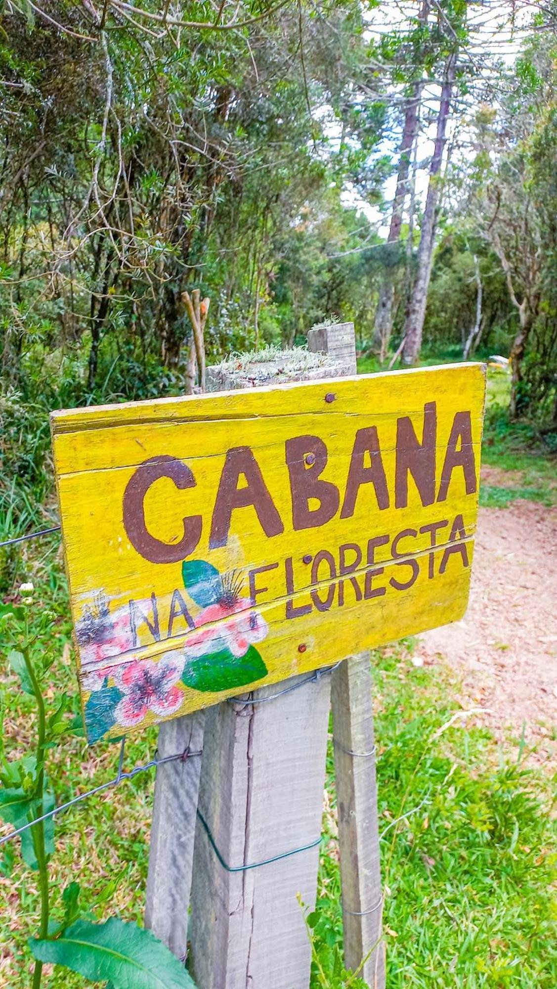 Cabana Na Floresta Rincao Do Fortaleza Cambara do Sul Exterior photo